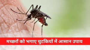 Mosquitoes Home Remedies